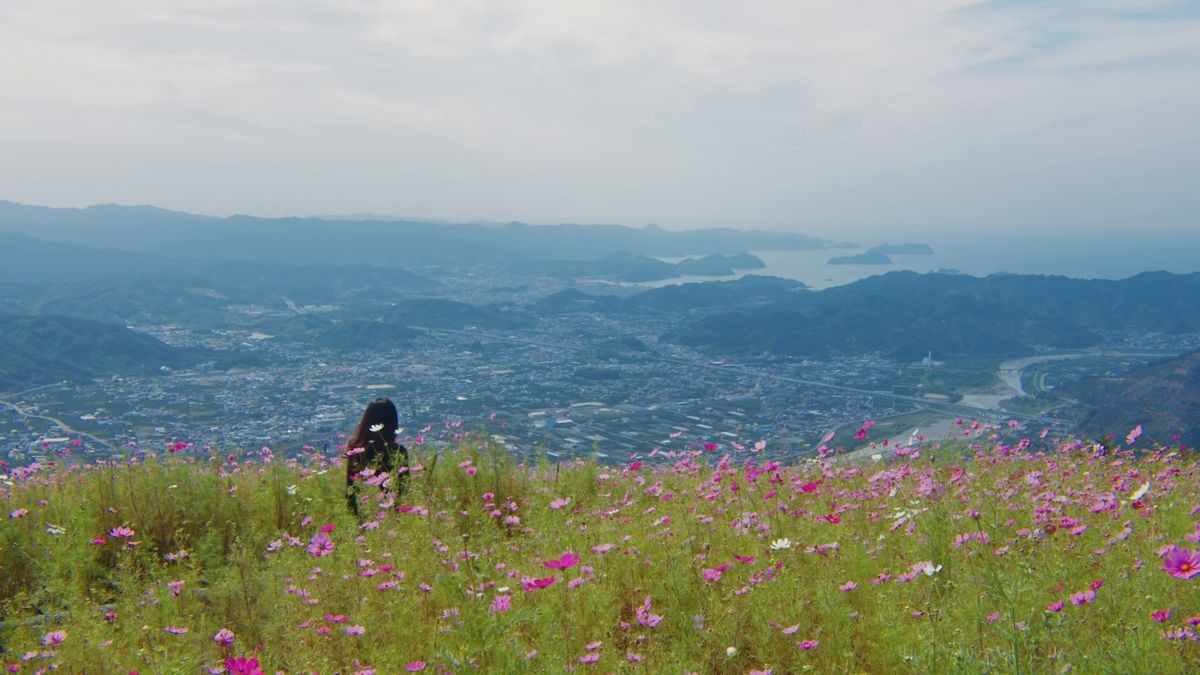 寿司と秋桜と中華そば。