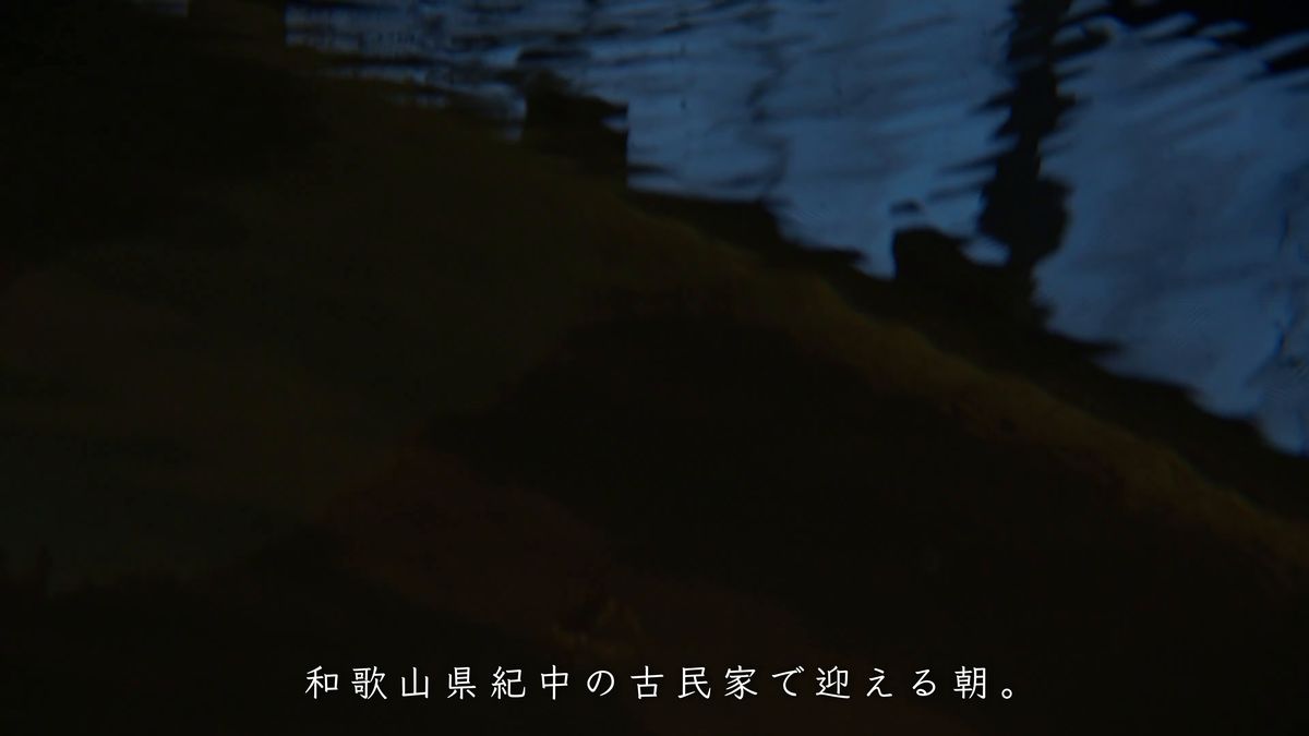 朝の薄暗がりの中で揺れる水面