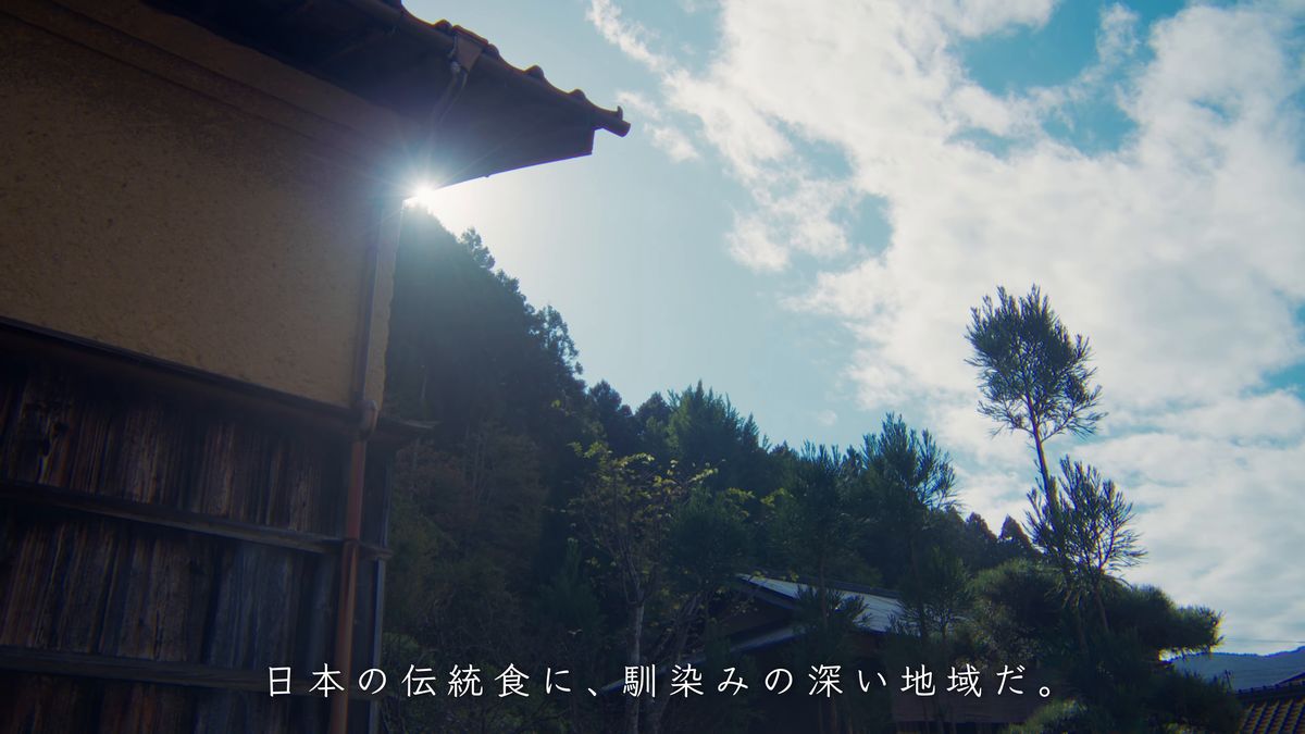 軒先から見上げた空と山の松