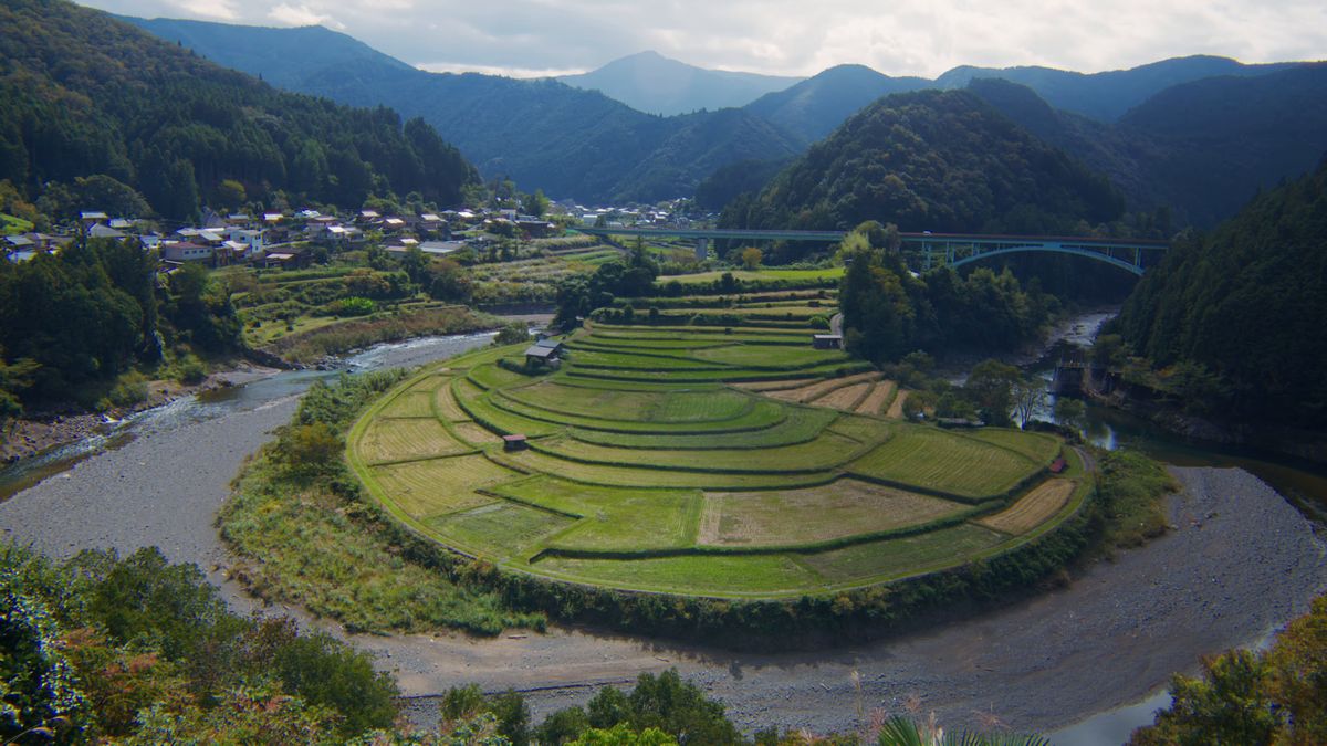 あらぎ島(蘭島)