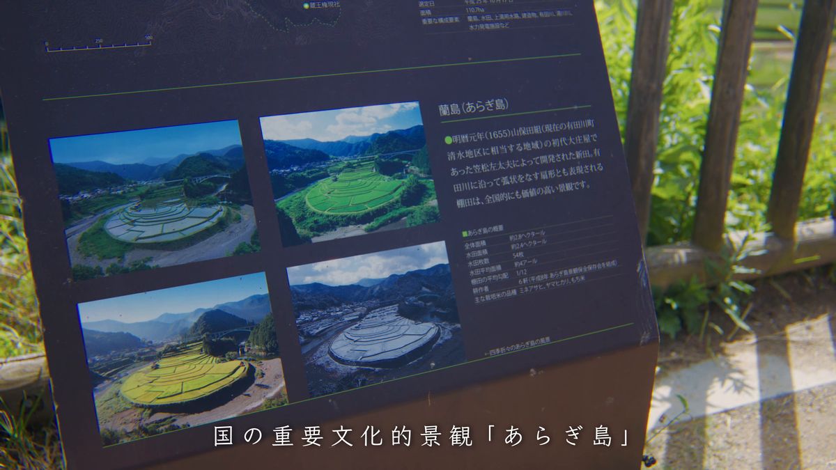 あらぎ島の四季の写真を載せた案内板