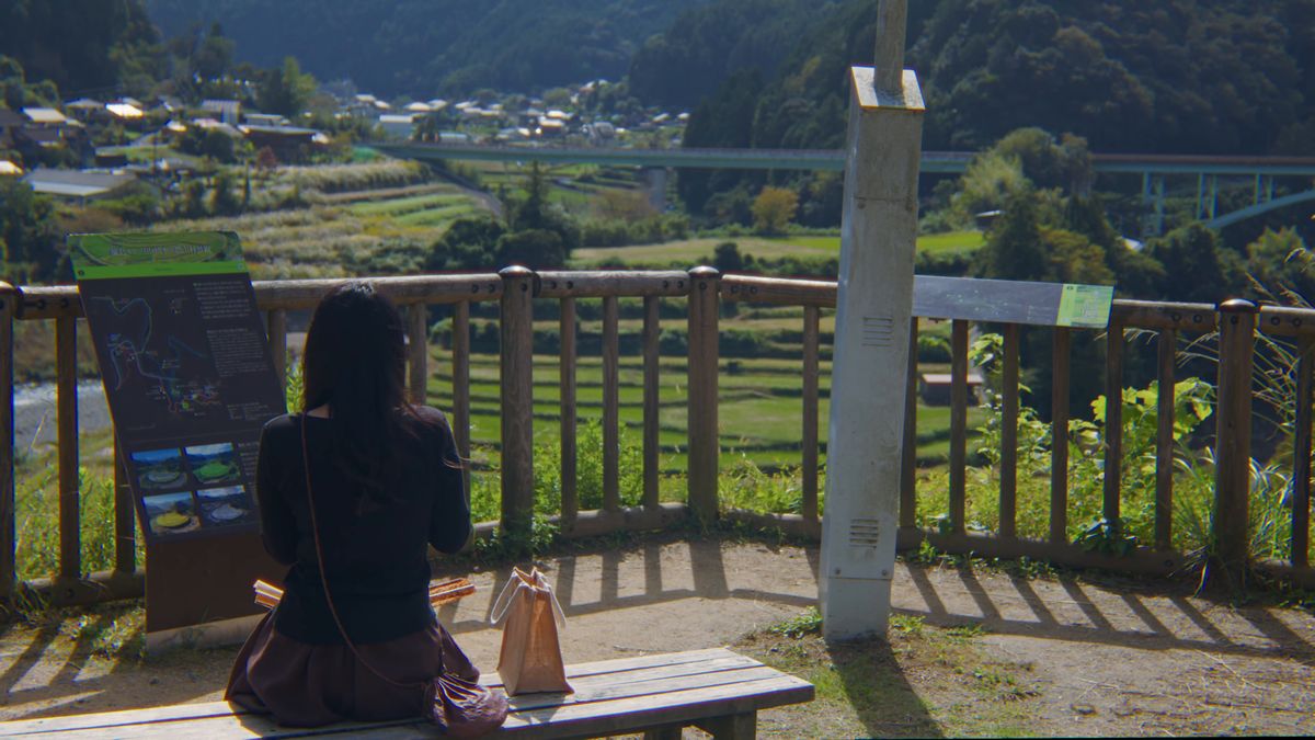 展望所のベンチに座り、あらぎ島を眺める後ろ姿