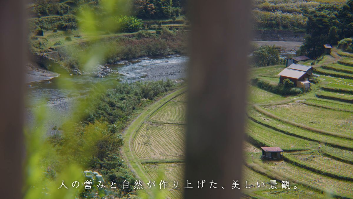木の葉の間からのぞく棚田と有田川