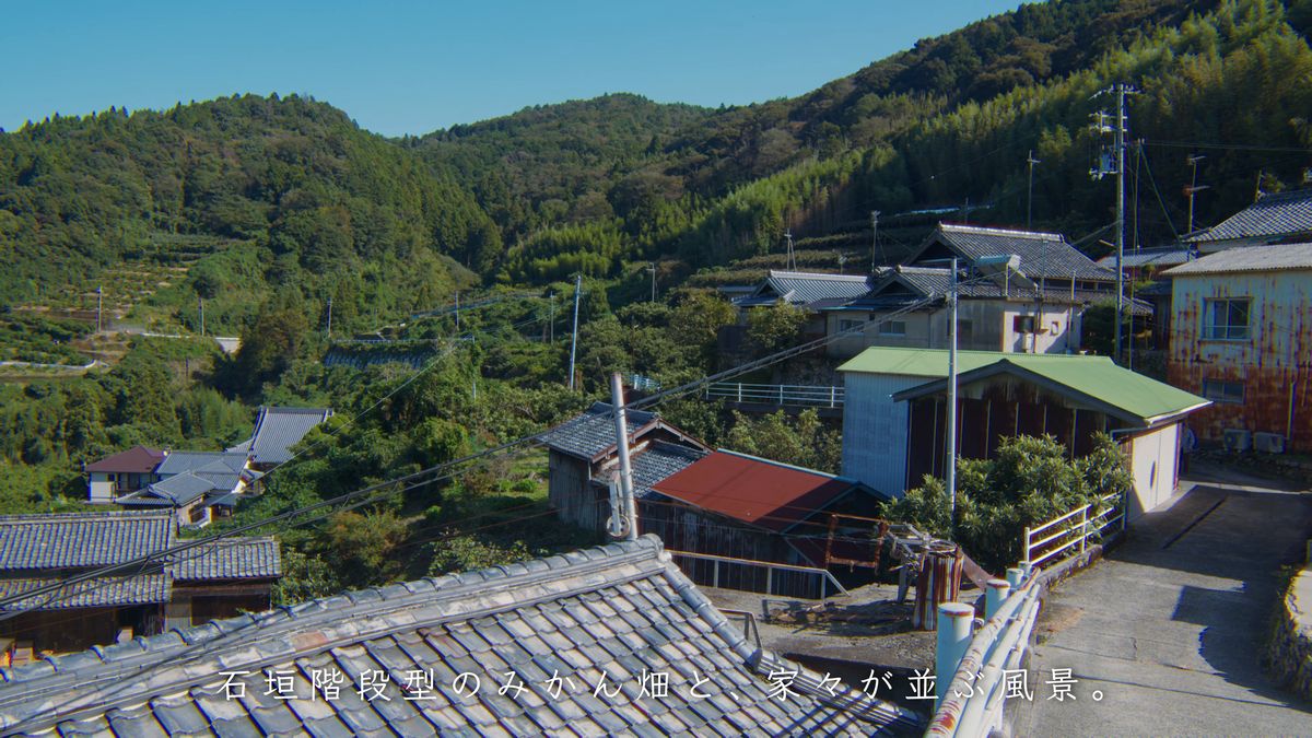 有田みかんと石積み階段園