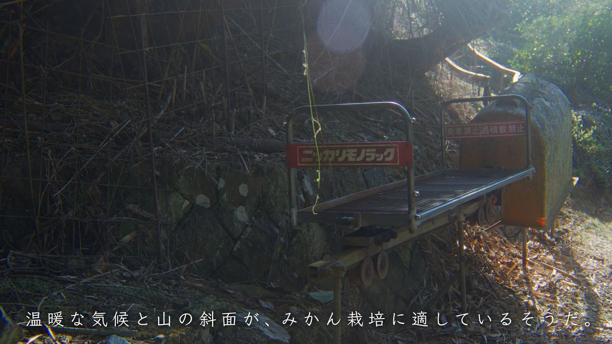 みかん畑の運搬用モノレール