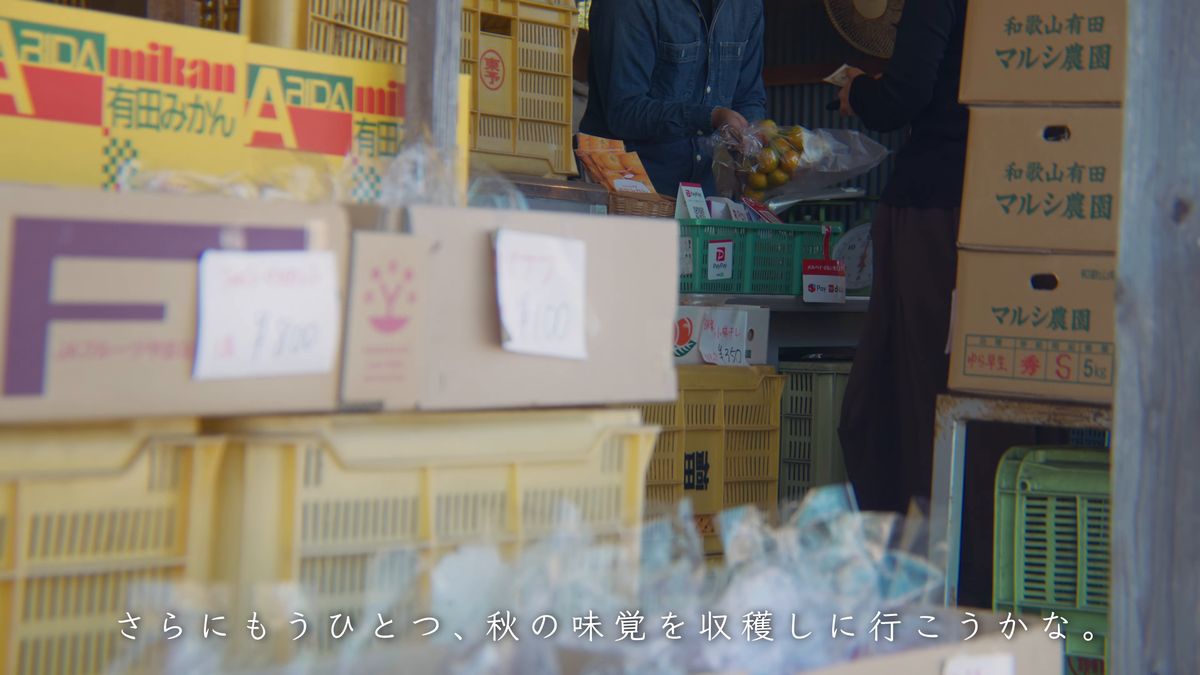 農園の値札と袋詰めの有田みかん
