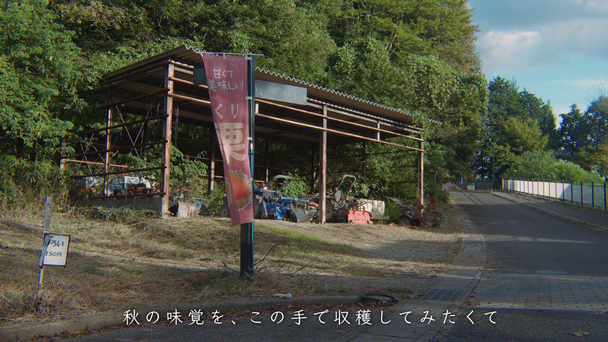 「くり」ののぼり旗が立つ栗園の入口の小屋
