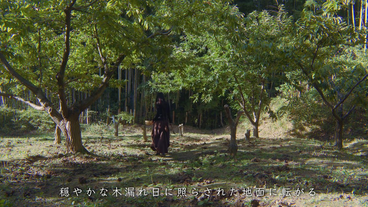 木漏れ日の栗林に立つ後ろ姿