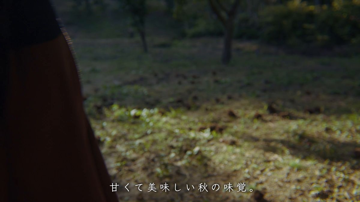 栗林の地面とスカートの裾