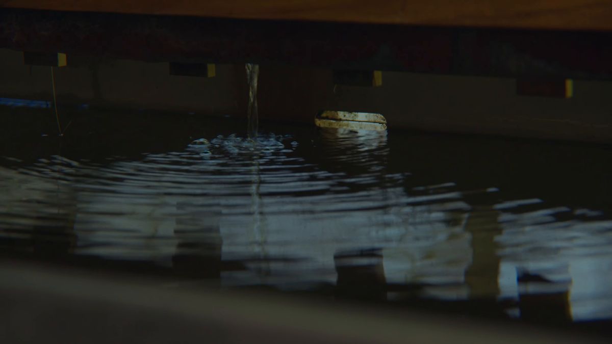 水の注ぐ台所の水槽の水面