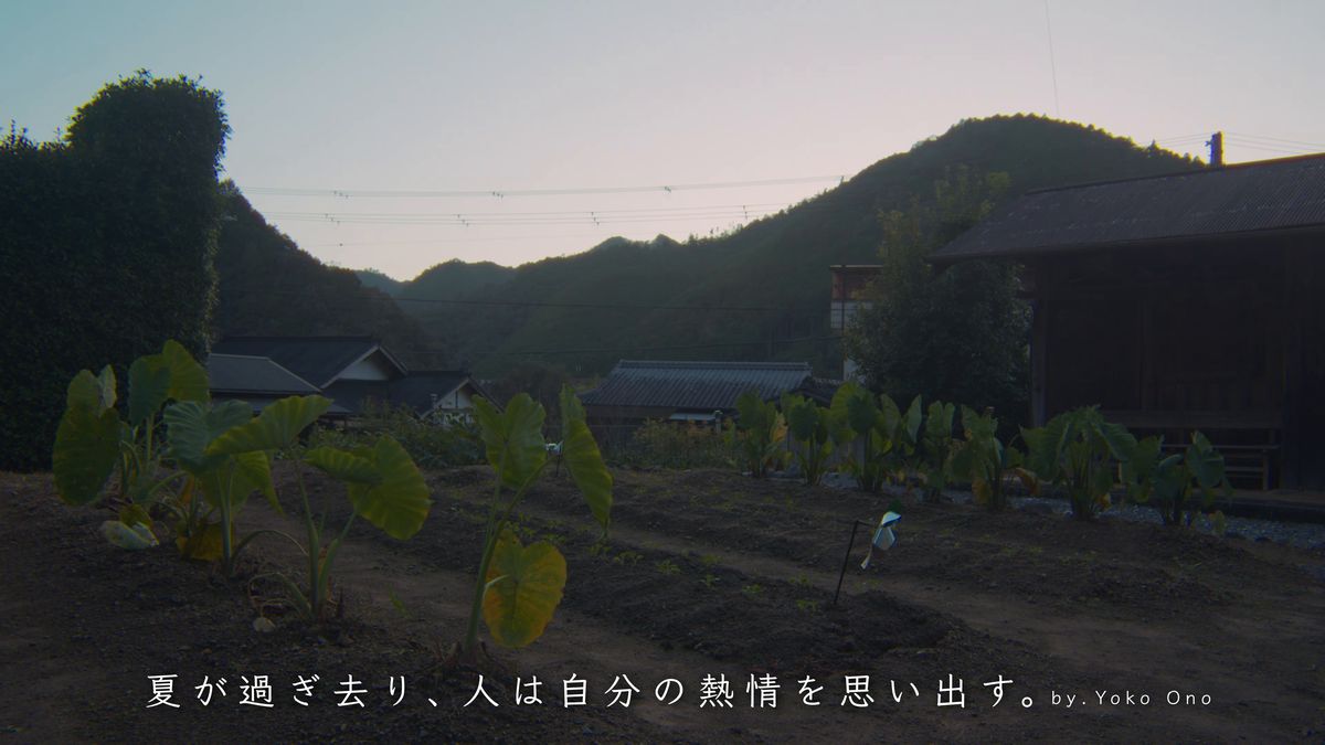 夕暮れの畑と山並み