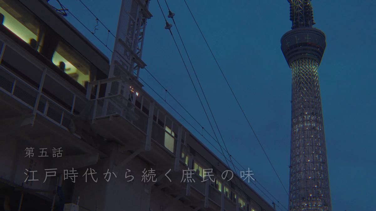 夕暮れの高架の線路とスカイツリー