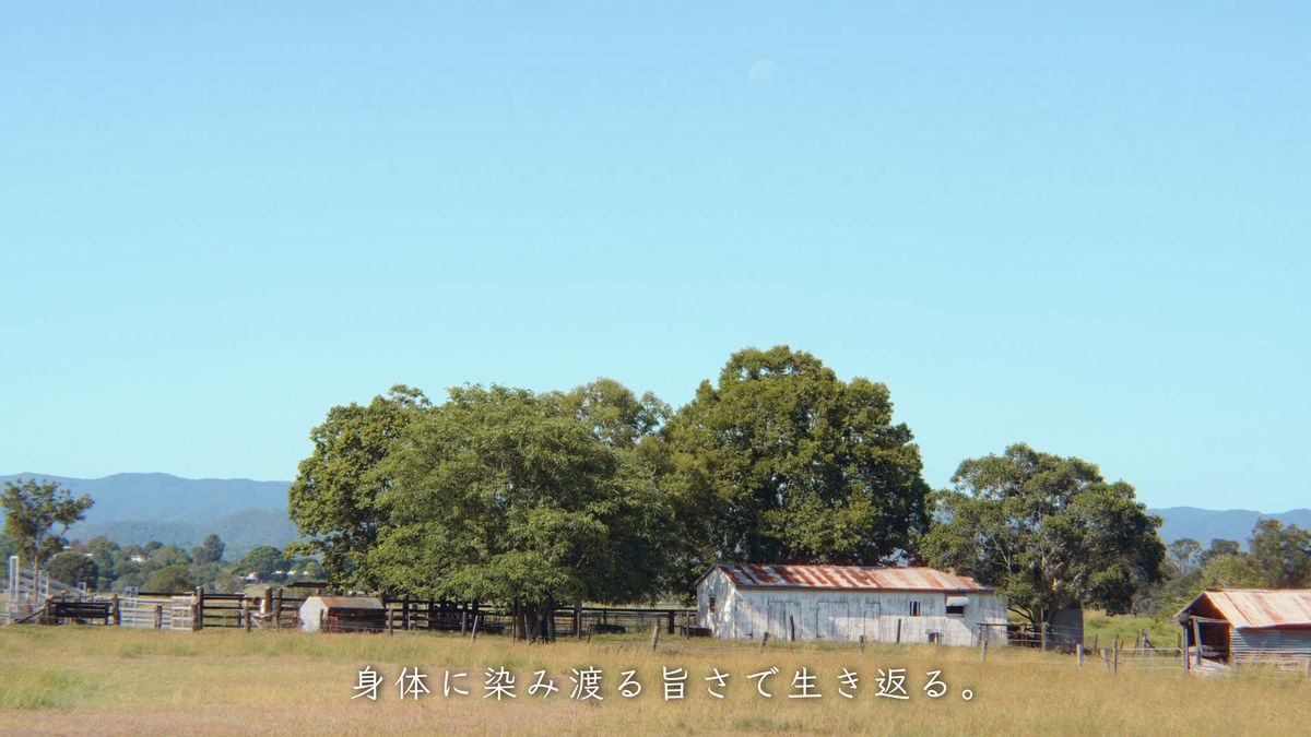 大木と牧場の小屋が見える草原