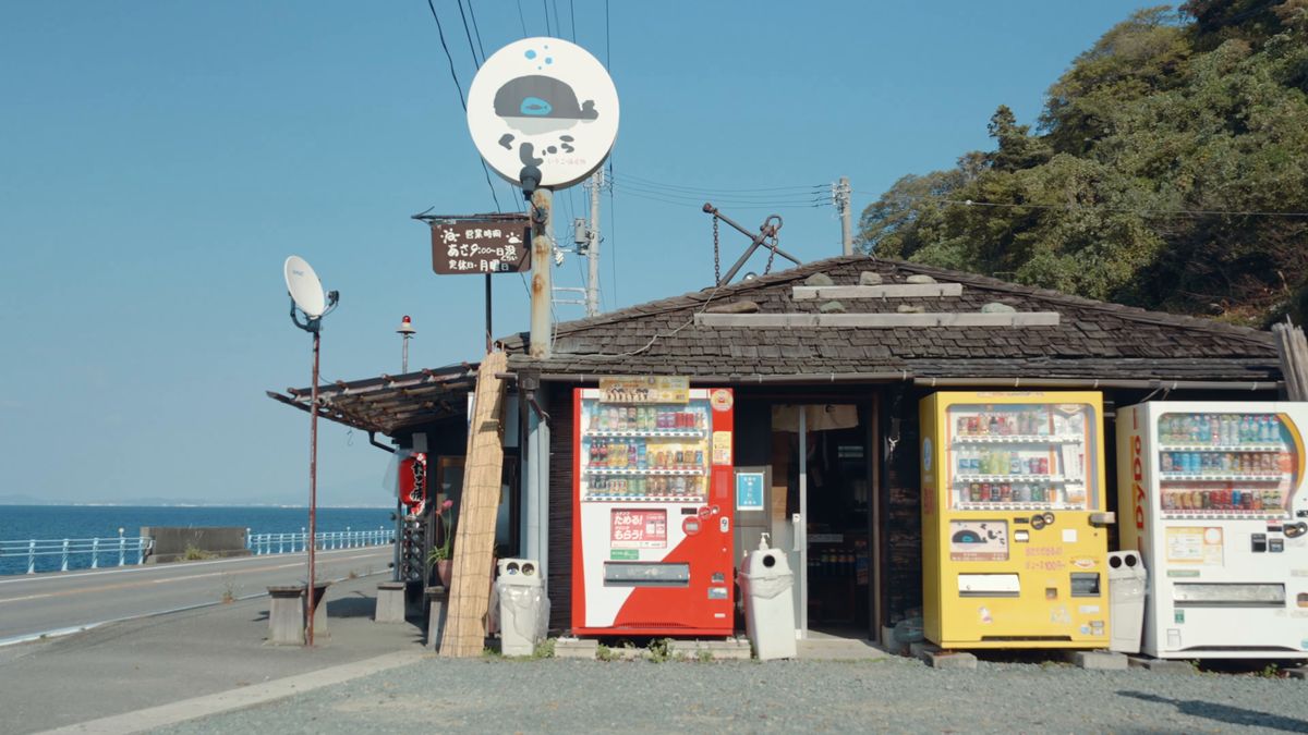 海沿いの道に建つ、自動販売機のある小屋