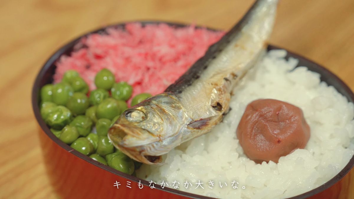 サツキのお弁当