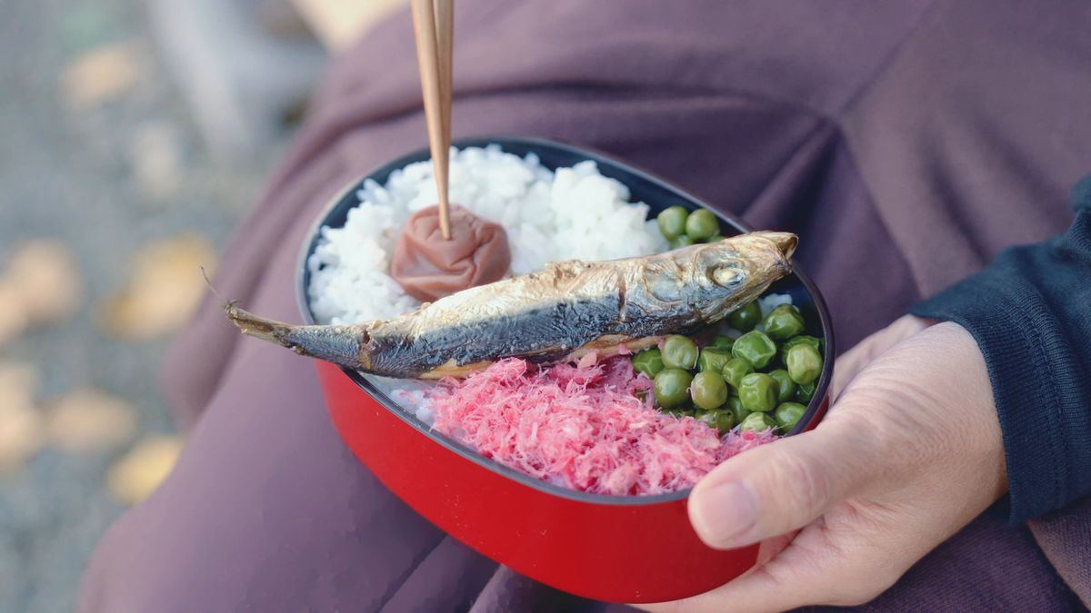 手に持った弁当箱の中の小魚と梅干し