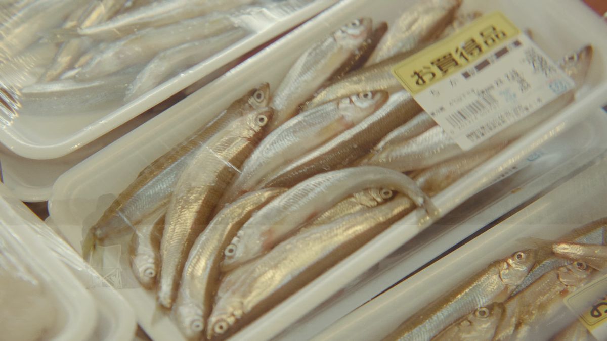 「お買得品」のラベルが付いたチカのパック