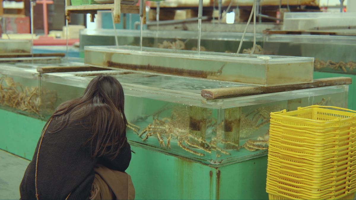 カニの入った水槽をのぞきこむ後ろ姿