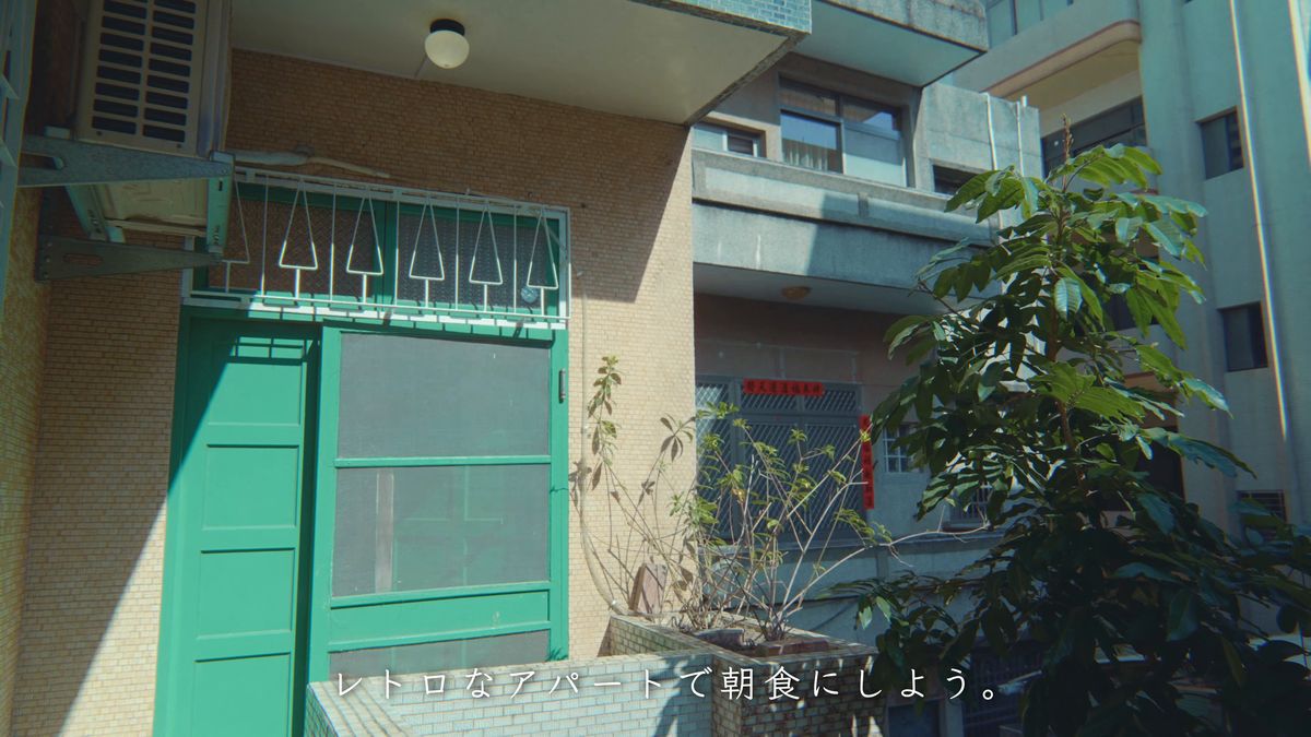 緑の格子戸の玄関と植木