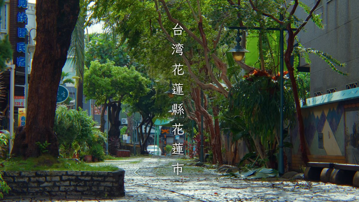 雨に濡れた石畳の並木道