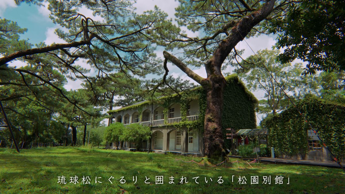 大きな松に囲まれた松園別館の建物