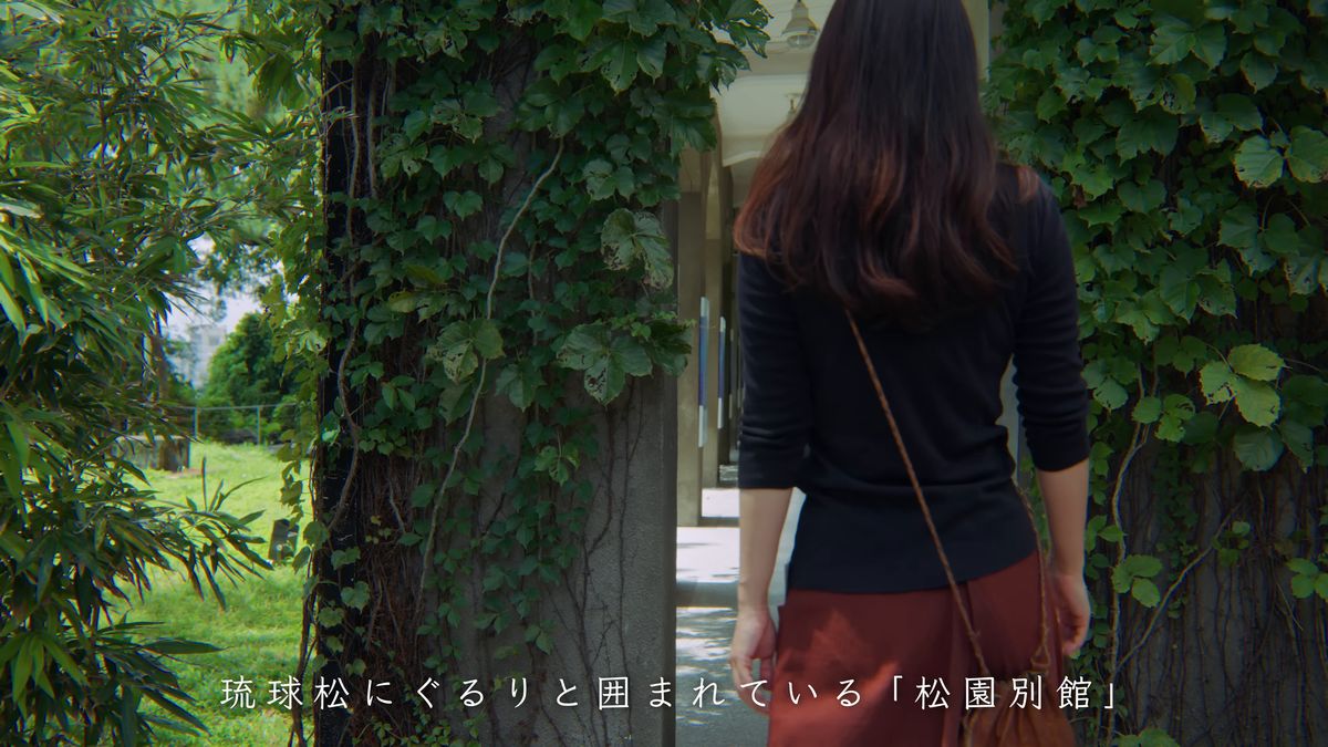 蔦の柱の廊下を歩く後ろ姿