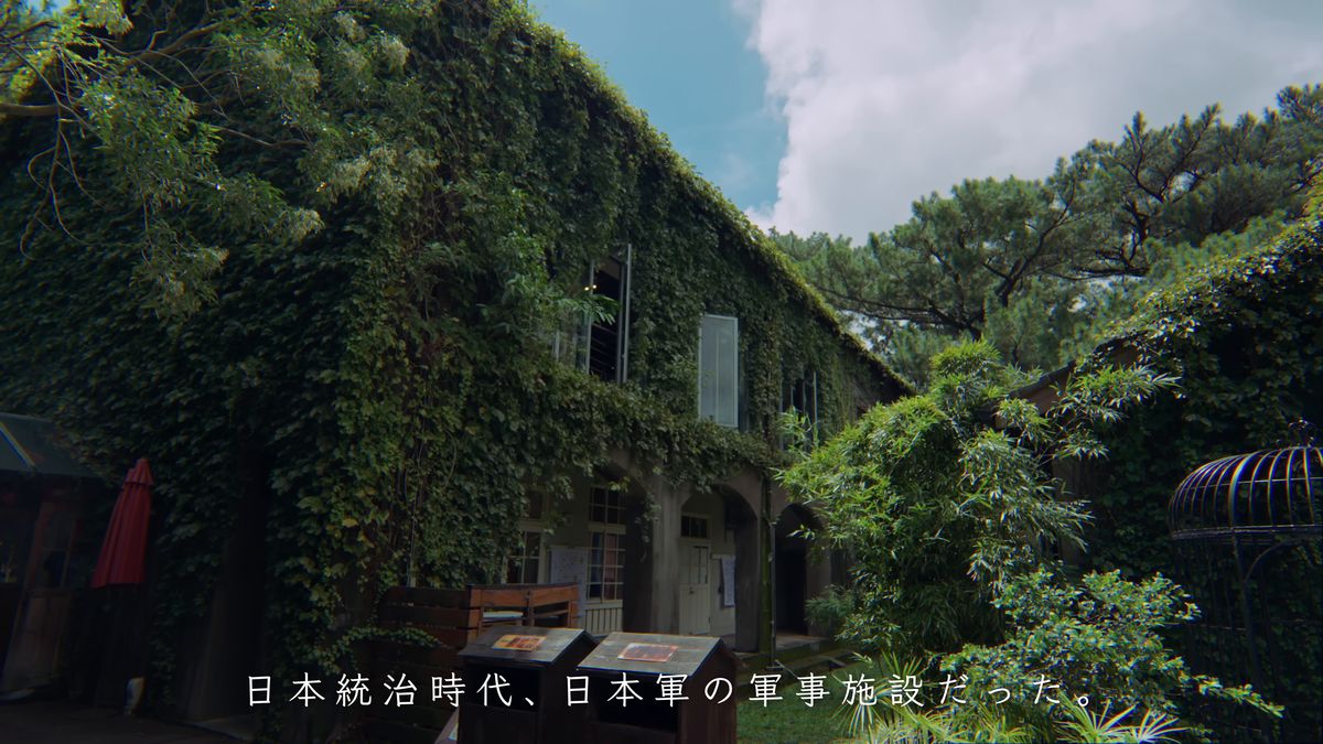 蔦に覆われた建物と松、夏の雲