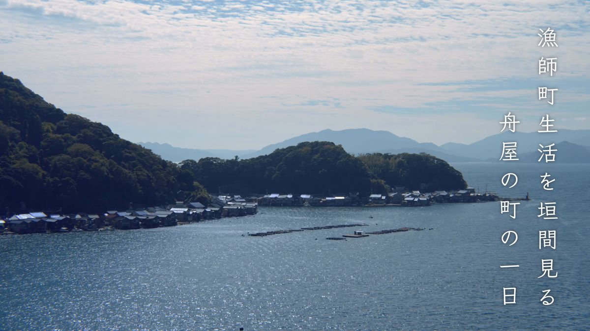 山に囲まれた伊根湾と、岸に連なる舟屋の遠景