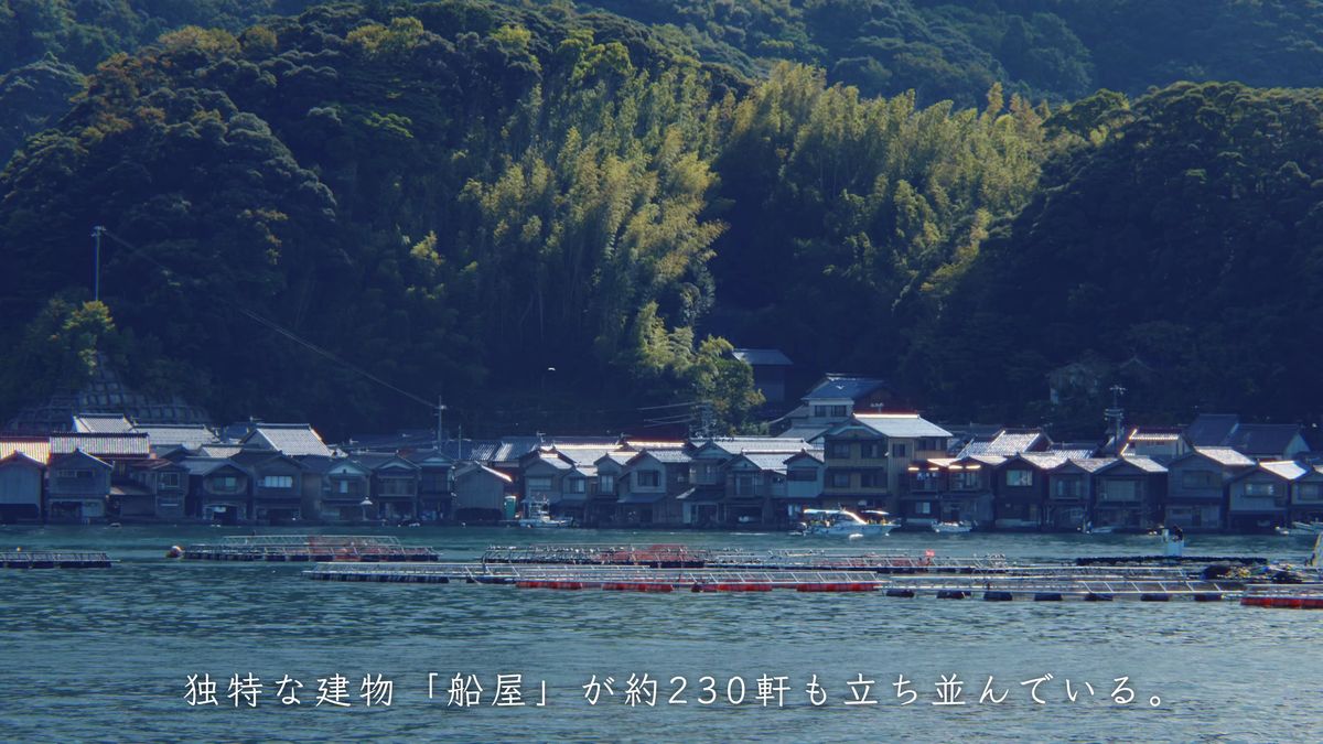 湾の向こうに並ぶ舟屋と、手前の竹林