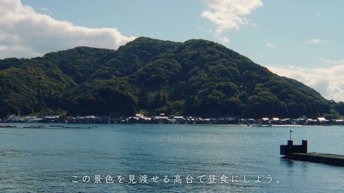 高台から見た伊根湾と、緑の山