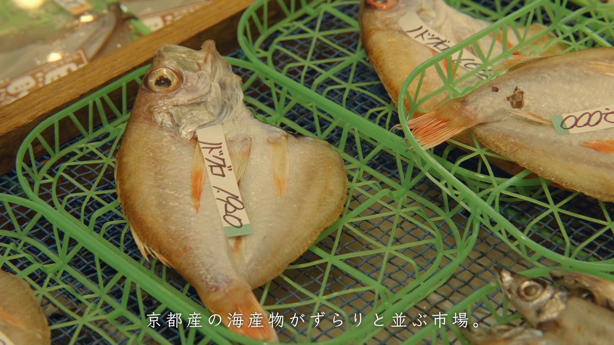 緑のかごに並んだ一夜干しの魚