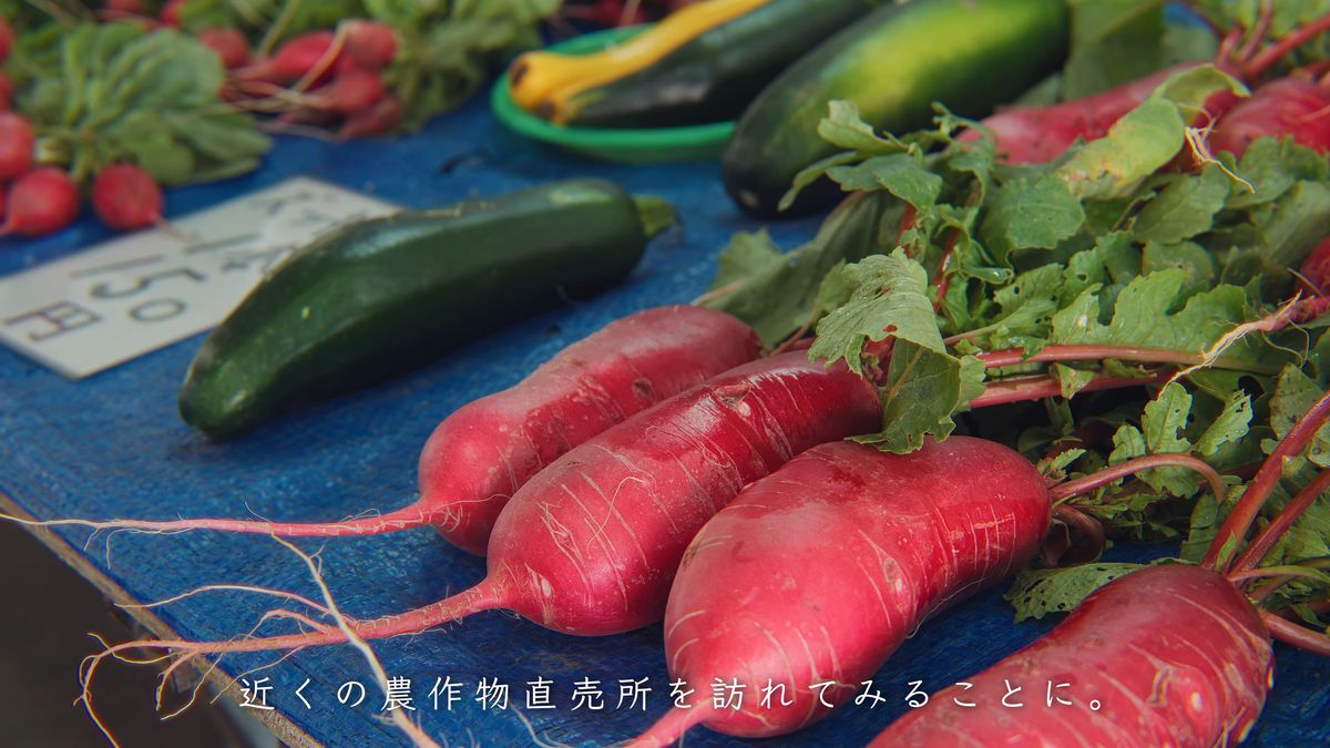 赤大根と、緑と黄色のズッキーニ