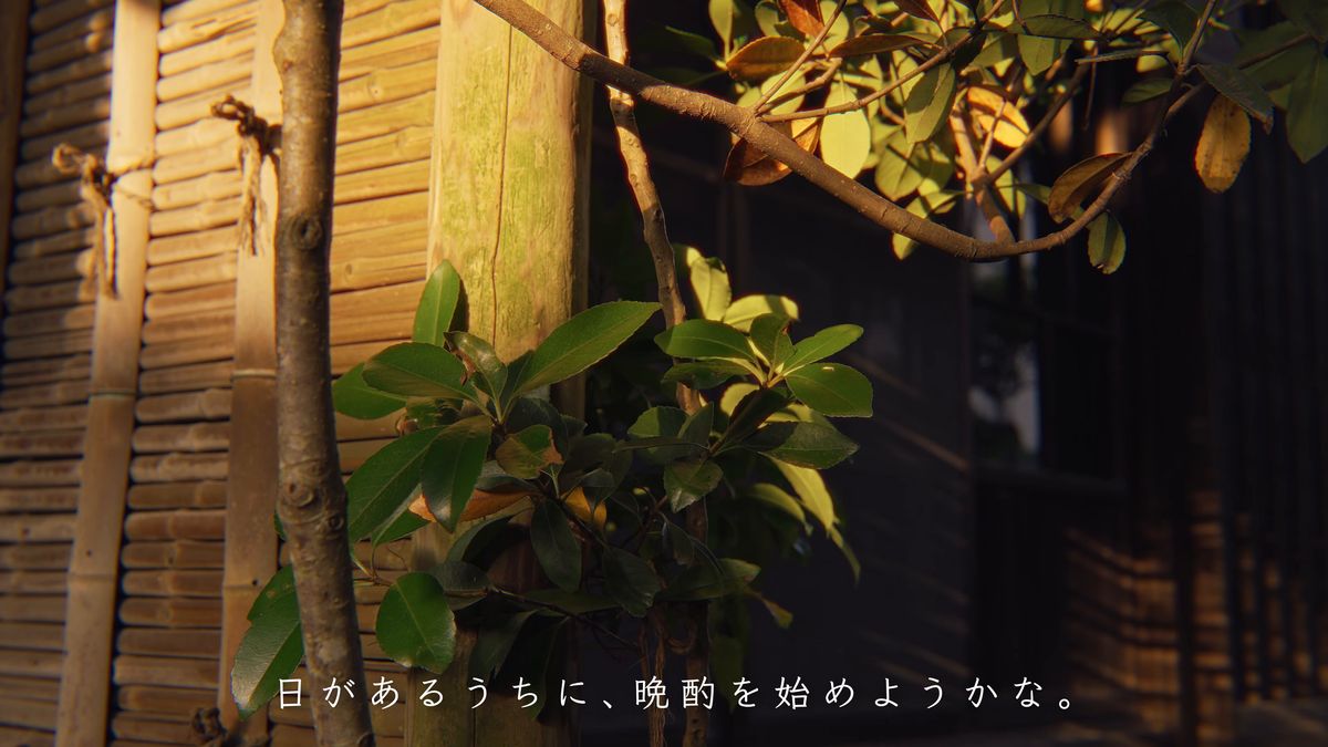 夜の明かりに照らされた板塀と木の葉