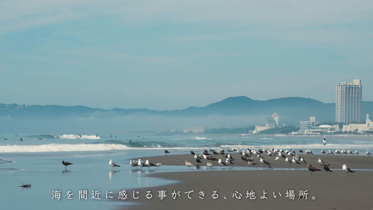 砂浜に集まるカモメの群れと遠くのホテル