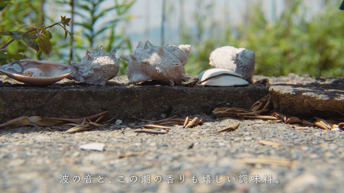 縁石に並べた貝殻