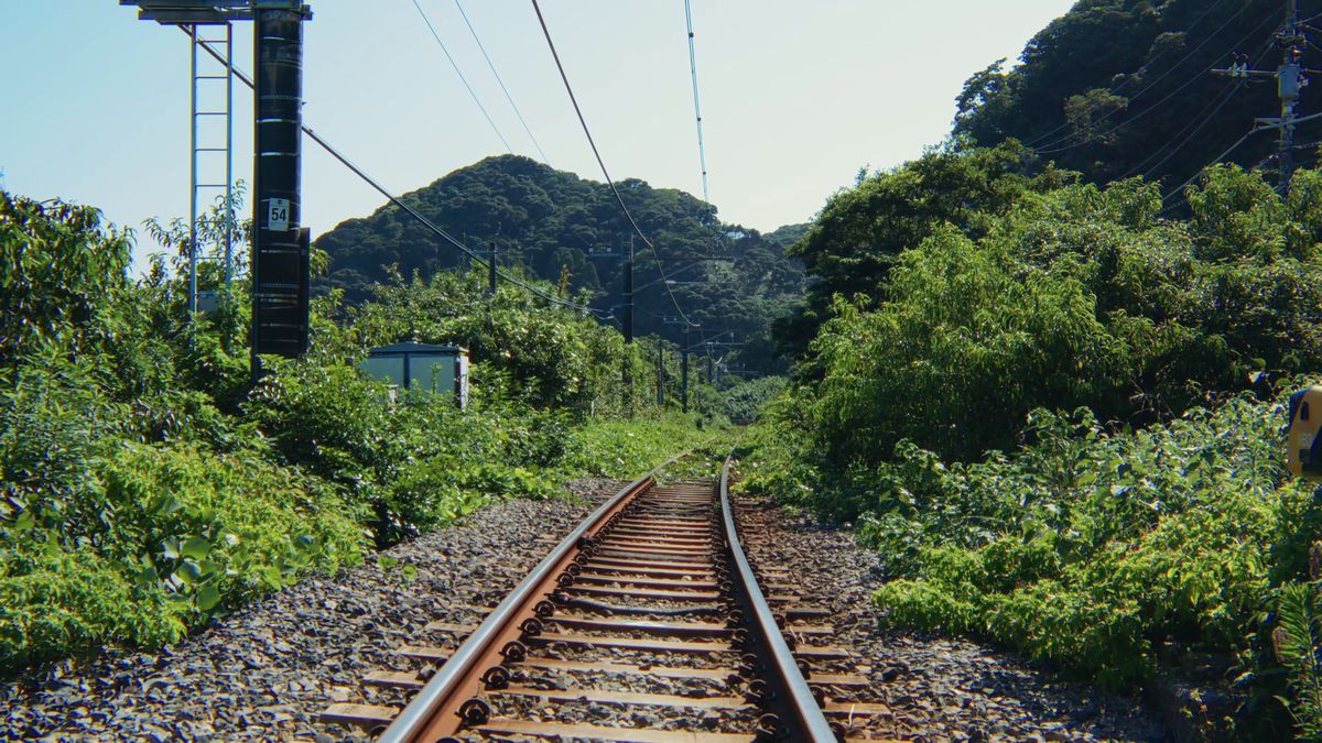 緑の中を伸びる線路