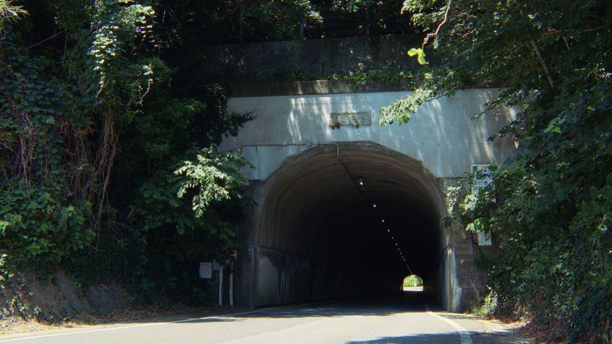 緑に囲まれた古いトンネル