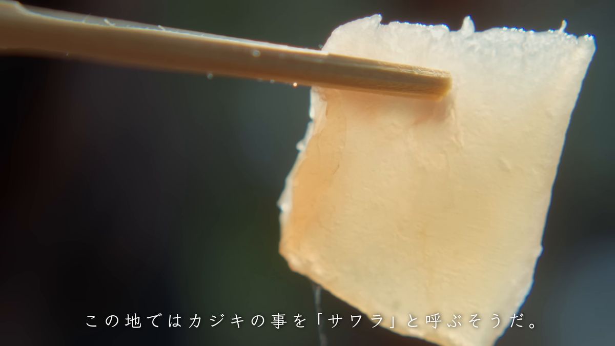 光に透ける昆布じめの刺身