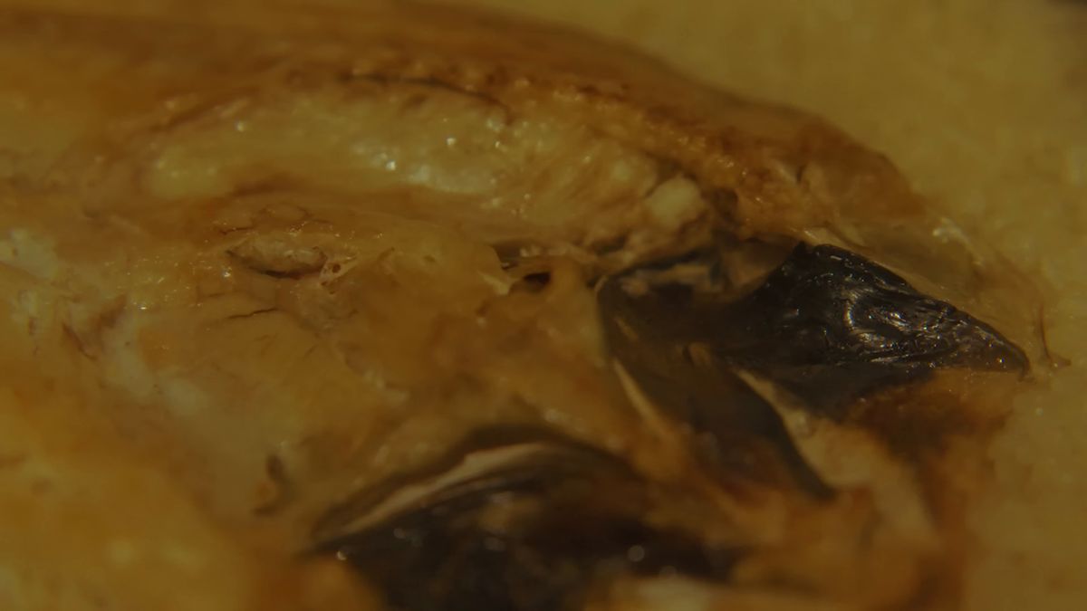 ご飯の上ののどぐろの寄り