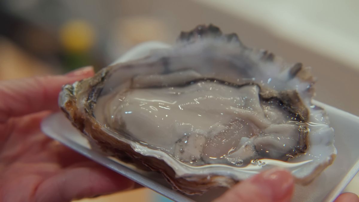 皿にのった殻付きの生牡蠣