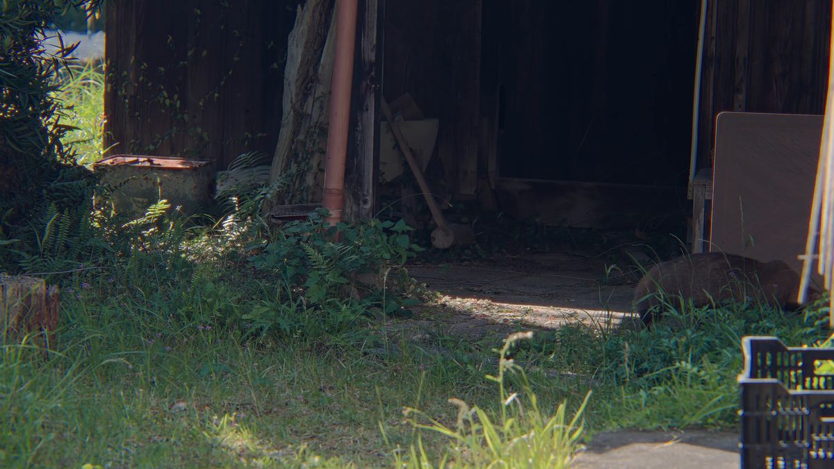 草むらの庭と物置の軒下