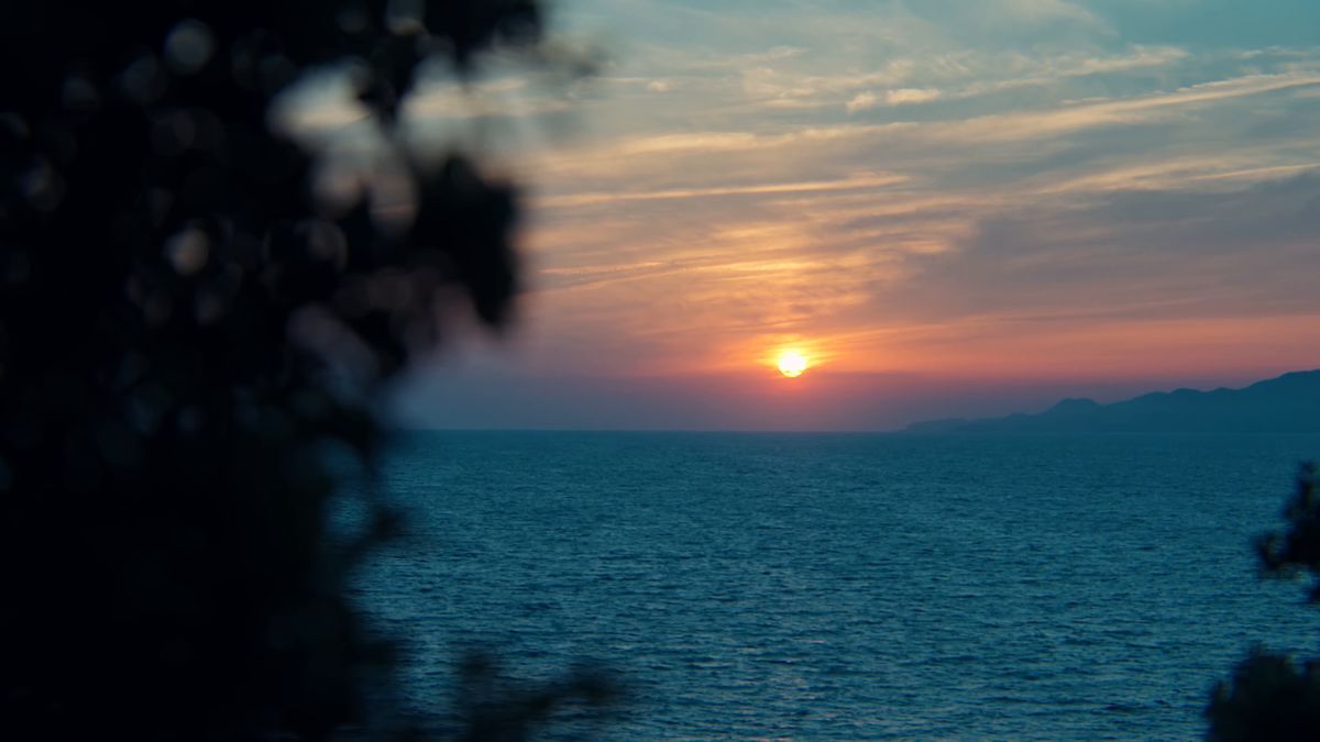 木の葉越しに海へ沈む夕日
