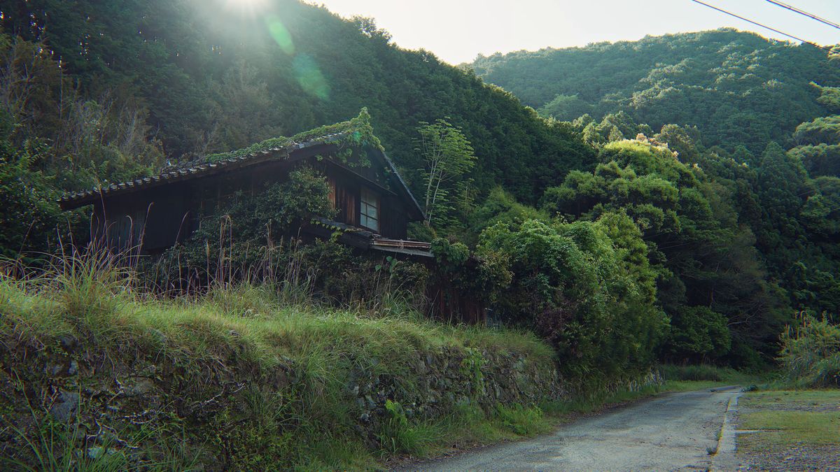 木々の向こうに瓦屋根がのぞく森の中の道