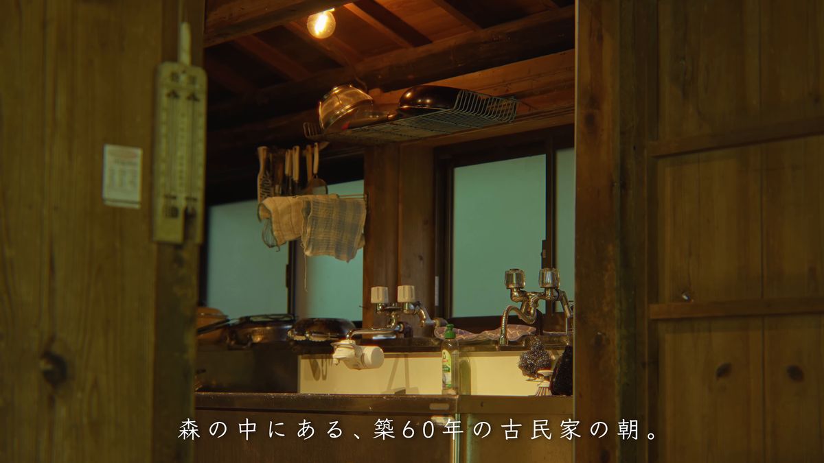 緑を映す台所の窓と流し