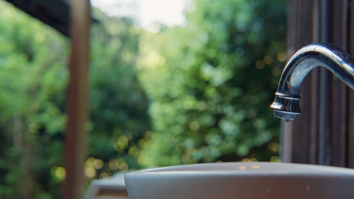 緑を背にした屋外の流しの蛇口