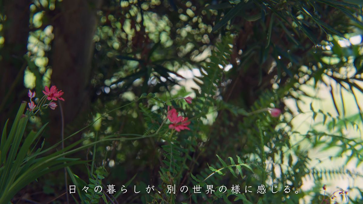 木陰に咲く桃色の小さな花
