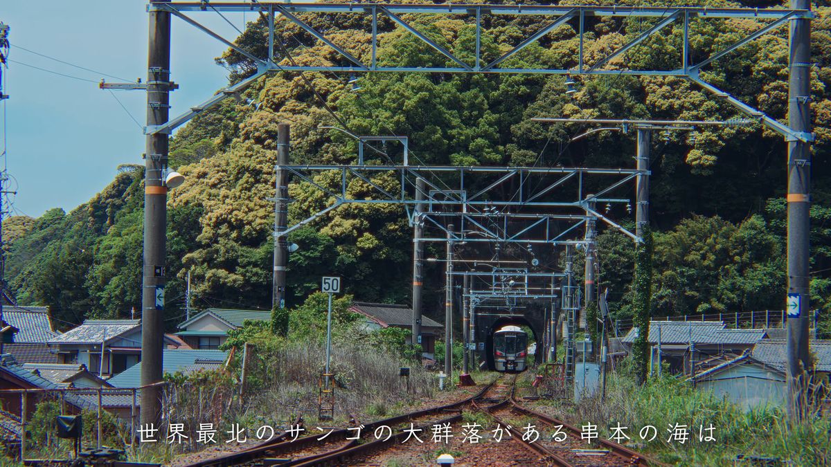架線の下を遠ざかる列車と緑の山