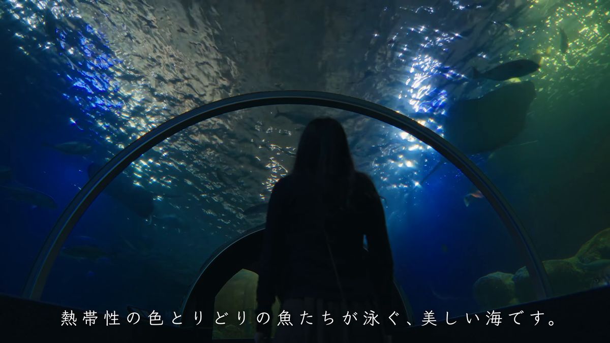 トンネル状の水槽の下に立つ後ろ姿
