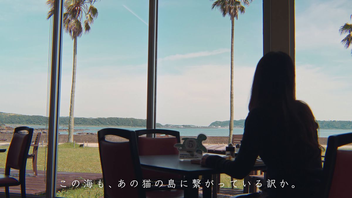 椰子の木と海が見える窓辺の席に座る後ろ姿