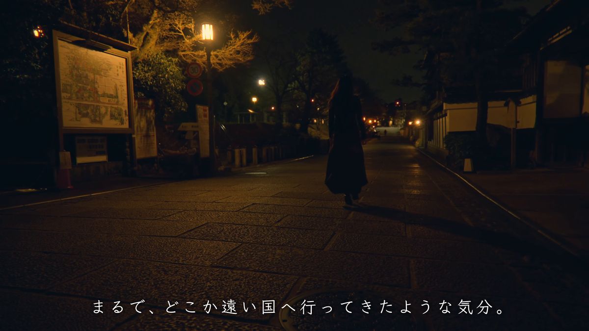 街灯の下、石畳の夜道を帰る後ろ姿